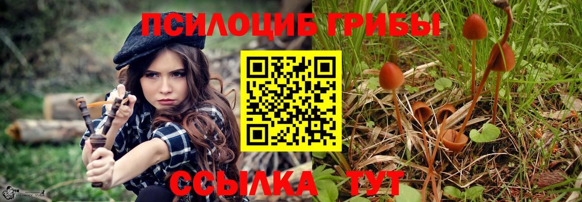 Псилоцибиновые грибы мухоморы Улан-Удэ