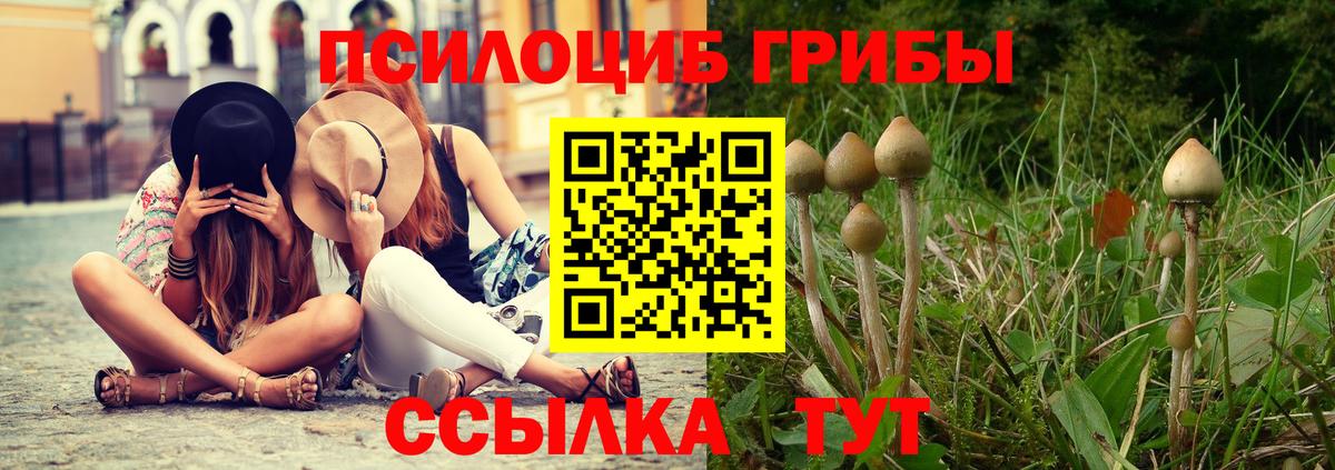 Псилоцибиновые грибы Magic Shrooms  Псилоцибиновые грибы GOLDEN TEACHER  Вход с VPN  Улан-Удэ 